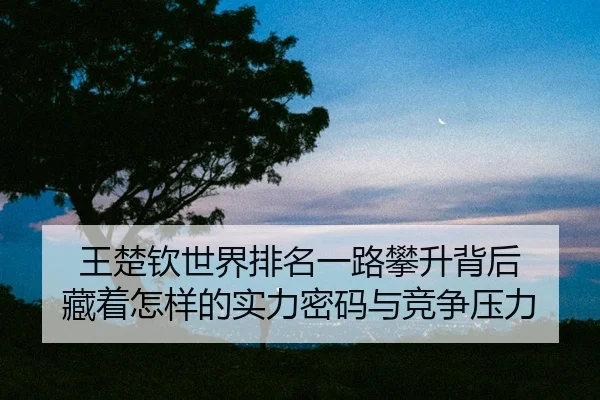 wang-chu-qin-shi-jie-pai-ming-yi-lu-pan-sheng-bei-hou-cang-zhe-zen-yang-de-shi-li-mi-ma-yu-jing-zheng-ya-li-2-364.jpg