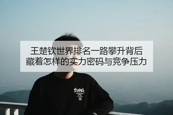 王楚钦世界排名一路攀升背后 藏着怎样的实力密码与竞争压力